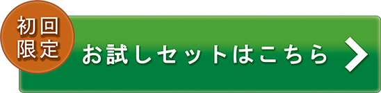 初回限定　お試しセットはこちら